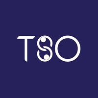 Tanzanite Support Organization logo - Similar company to Finvest Ltd