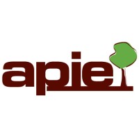APIE à Fondettes logo - Similar company to Ctp37 Référent Centre Val De  Loire Association Pour La Promotion Du Travail En  Temps Partagé