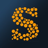 SDN Solutions logo - Similar company to Iteam Solutions
