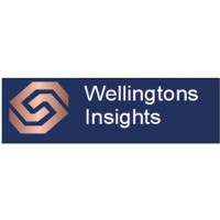 Wellingtons Insights logo - Similar company to Viscocity Ltd