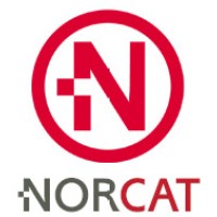NORCAT Consultoría logo - Similar company to Logipop