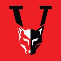 VAMPKA IT SOLUTION logo - Similar company to Doneship