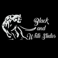 Black and White VFX Studios logo - Similar company to Twenty4 Vfx Studios