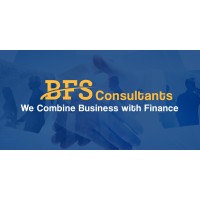 Business & Financial Strategy Consultants logo - Similar company to Little Bear Capital Llc
