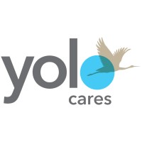 YoloCares logo - Similar company to Yolocare Websites