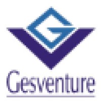 Gesventure logo - Similar company to Fastlane Productivity Tools