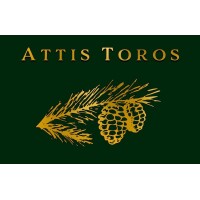 Attis Toros logo - Similar company to Leotec Attachments