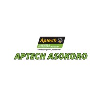 Aptech Asokoro logo - Similar company to Aptech Nigeria