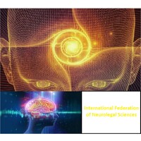 International Federation of Neuro-Legal Sciences logo - Similar company to Logoproject Design Srl