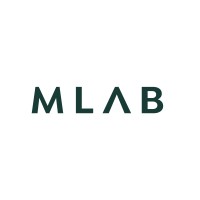 MLAB logo - Similar company to Roa