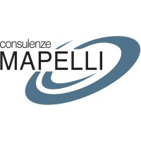 Consulenze Mapelli Srl logo - Similar company to Igm Consulting