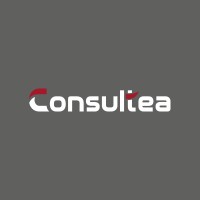 CONSULTEA logo - Similar company to Geobox Telematics
