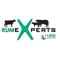 RumeXperts logo - Similar company to Stival