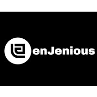 enJenious logo - Similar company to Ras Consultancy Services