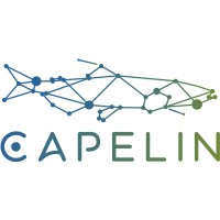 Capelin Solutions logo - Similar company to Iiot Intelligence