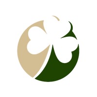 Shamrock Financial Solutions logo - Similar company to Shamrock Finance Llc