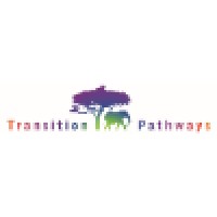 Transition Pathways Ltd