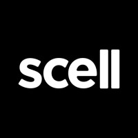 Scell By Vlan
