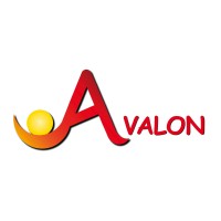 VZW Avalon logo - Similar company to Tree D.O.O.