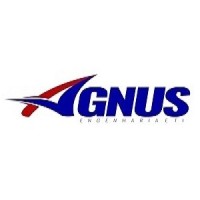 Agnus Engenharia & TI logo - Similar company to Sengema - Semana De Engenharia Do Maranhão