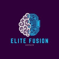 Elite fusion venture logo - Similar company to Pmc-Vr
