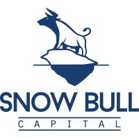 Snow Bull Capital logo - Similar company to Easybnb Premium