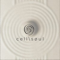 cell\søul logo - Similar company to Cosmotech Technologies