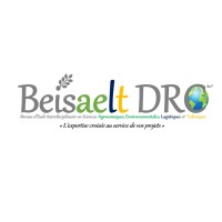 BEISAELT DRC Sarl logo - Similar company to Wpdailylive
