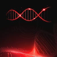 Brand DNA Audio logo - Similar company to Biggie