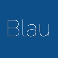 Blau Technology Consultants