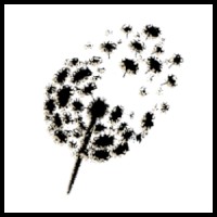 NEGOSOL logo - Similar company to Hananse