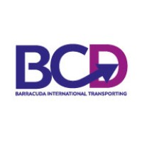BCD LOJİSTİK logo - Similar company to Thrones Lojistik