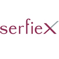 Serfiex Risk Management & ALM logo - Similar company to Lumrisk