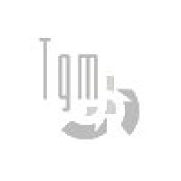 TGM Informatica Ltda. logo - Similar company to Doubleit Tecnologia