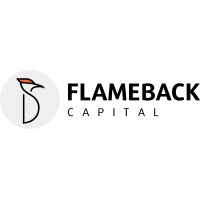 Flameback Capital Private Limited logo - Similar company to Flameback Tech