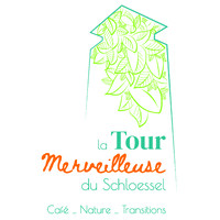 La Tour Merveilleuse du Schloessel logo - Similar company to Forma Public Privé