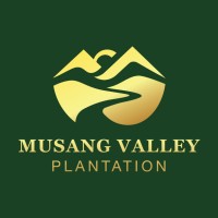 Musang Valley Plantation logo - Similar company to Sindiyan Plantation