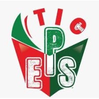 Ticeps logo - Similar company to 2C2M - Cabinet De Conseil En Management Multispécialiste