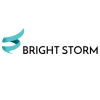 Bright Storm BV logo - Similar company to Remoby Dsp