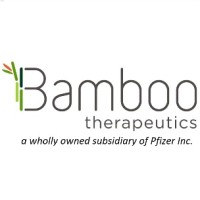 Bamboo Therapeutics, Inc. a wholly owned subsidiary of Pfizer Inc. logo - Similar company to Reviral