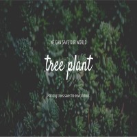 Plant Trees logo - Similar company to Sri Lanka Wildlife Conservation Society (Slwcs)