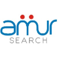 Amur Search logo - Similar company to Amur