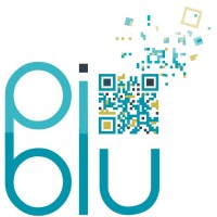 PiBlu Technologies Ltd logo - Similar company to Just Applications Ltd