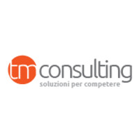Ti.Emme.Consulting Srl logo - Similar company to Brainform Srl