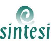 Sintesi S.r.l. logo - Similar company to 01Rabbit