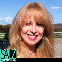 SalzMedia Website Design & Development *WordPress & Elementor Pro Expert* logo - Similar company to Wordpress Website Design & Development Services
