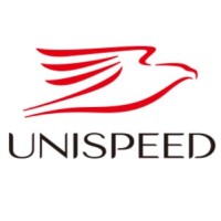 UNISPEED DEVELOPMENT LTD logo - Similar company to Nyso China