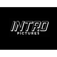 Intro Pictures logo - Similar company to Digital 21