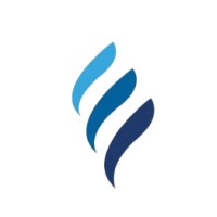 Electron Data Solutions logo - Similar company to Ali Analytics