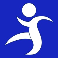 Solomons International, LLC logo - Similar company to Pyramid Technology Solutions.